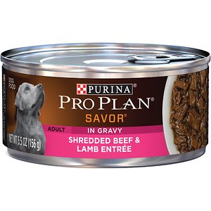 Purina Pro Plan Savor Adult Shredded Beef & Lamb Entree in Gravy Canned Dog Food
