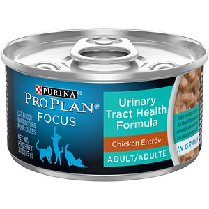 Purina Pro Plan Focus Adult Urinary Tract Health Formula Chicken Entree in Gravy Canned Cat Food Purina Pro Plan Focus Adult Urinary Tract Health Formula Chicken Entree in Gravy Canned Cat Food