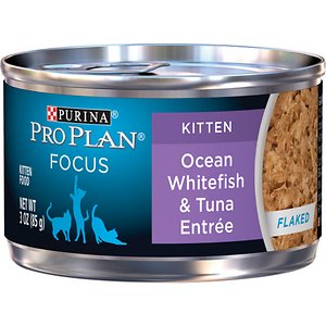 Purina Pro Plan Focus Kitten Flaked Ocean Whitefish & Tuna Entree Canned Cat Food