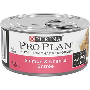 Purina Pro Plan Savor Adult Salmon & Cheese Entree in Sauce Canned Cat Food