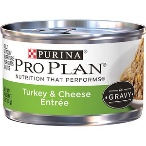 Purina Pro Plan Savor Adult Turkey & Cheese Entree in Gravy Canned Cat Food