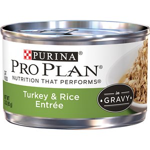 Purina Pro Plan Savor Adult Turkey & Rice Entree in Gravy Canned Cat Food