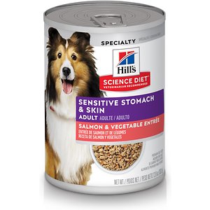Hill's Science Diet Adult Sensitive Stomach & Skin Grain-Free Salmon & Vegetable Entree Canned Dog Food