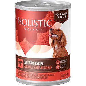 Holistic Select Beef Pate Recipe Grain-Free Canned Dog Food
