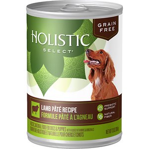 Holistic Select Lamb Pate Recipe Grain-Free Canned Dog Food
