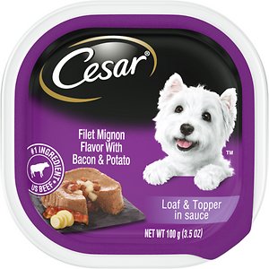 Cesar Loaf & Topper in Sauce Filet Mignon Flavor with Bacon & Potato Dog Food Trays