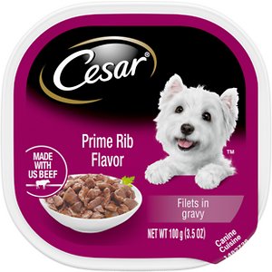 Cesar Filets in Gravy Prime Rib Dog Food Trays