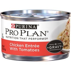 Purina Pro Plan Savor Adult Chicken Entrée with Tomatoes Braised in Gravy Canned Cat Food