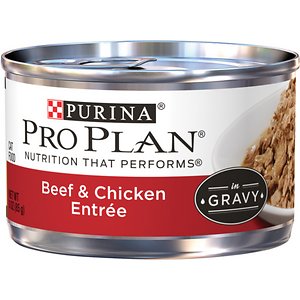 Purina Pro Plan Beef & Chicken Entree in Gravy Canned Cat Food