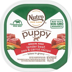 Nutro Puppy Tender Beef