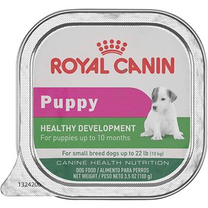 Royal Canin Healthy Development Small Breed Puppy Dog Food Trays