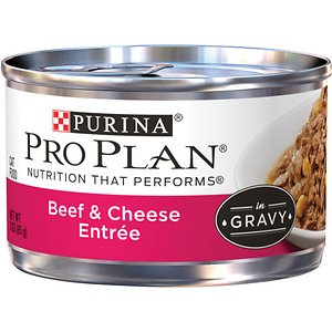 Purina Pro Plan Savor Adult Beef & Cheese Entree in Gravy Canned Cat Food