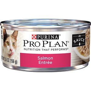 Purina Pro Plan Adult Salmon Entree in Sauce Canned Cat Food