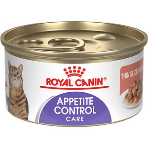 Royal Canin Feline Care Nutrition Appetite Control Care Thin Slices in Gravy Wet Cat Food