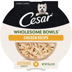 Cesar Wholesome Bowls Chicken Recipe Wet Dog Food