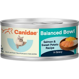 Canidae Balanced Bowl Salmon & Sweet Potato Recipe in Gravy Wet Cat Food