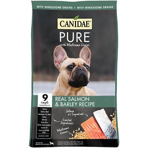 CANIDAE PURE with Wholesome Grains Real Salmon & Barley Recipe Adult Dry Dog Food