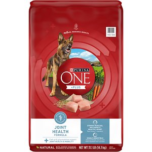 is there a recall on purina one dog food