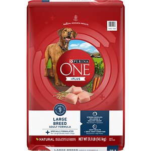 is there a recall on purina one dog food