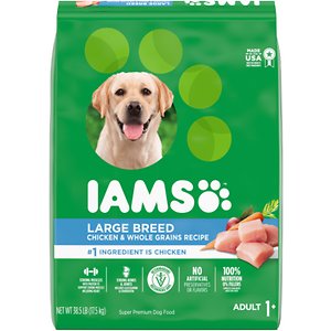 Image of Iams Adult Large Breed Real Chicken High Protein Dry Dog Food