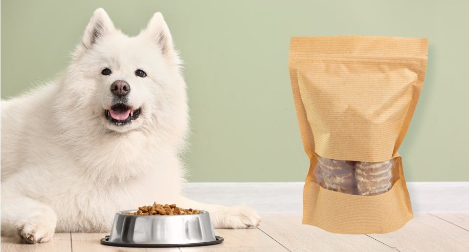 10 Best Dry Dog Foods