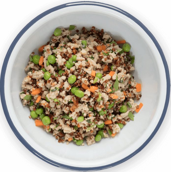 is quinoa or rice better for dogs