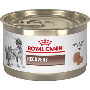 Royal Canin Veterinary Diet Recovery Ultra Soft Mousse in Sauce Wet Dog & Cat Food