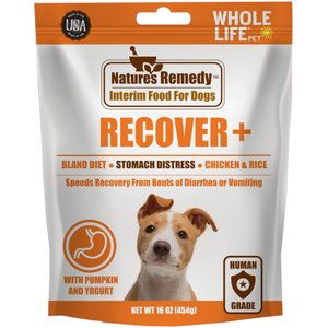 Whole Life Recover Pumpkin & Yogurt Freeze-Dried Dog Food