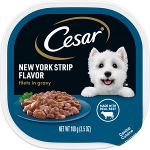Cesar Adult Filets in Gravy New York Strip Flavor Soft Wet Dog Food